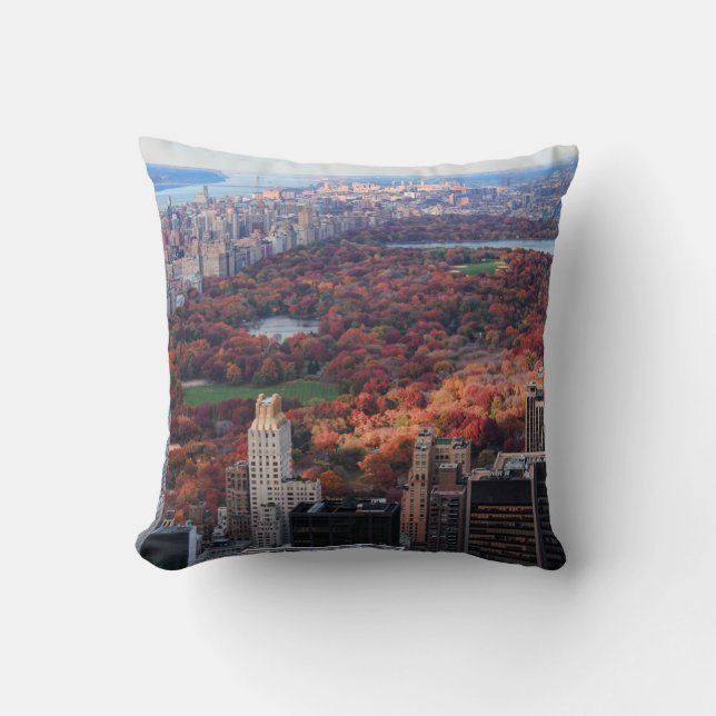 A view from above: Autumn in Central Park 01 Cushion (Front)