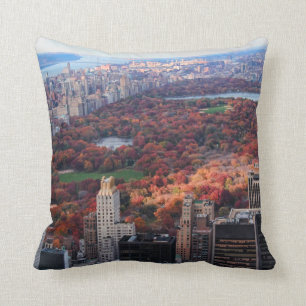 A view from above: Autumn in Central Park 01 Cushion