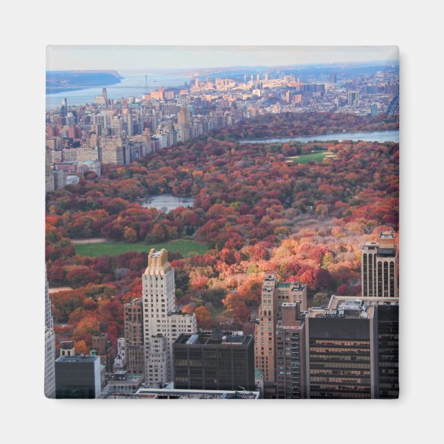 A view from above: Autumn in Central Park 01 Magnet (Front)