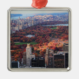 A view from above: Autumn in Central Park 01 Metal Tree Decoration