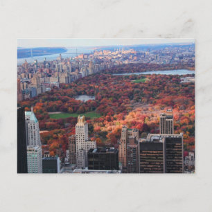 A view from above: Autumn in Central Park 01 Postcard