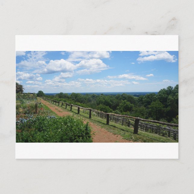 A View From Monticello Postcard (Front)