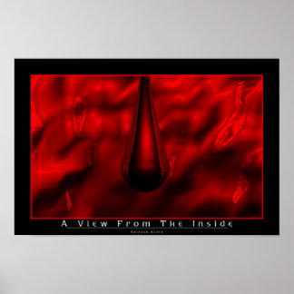 A View From The Inside Poster