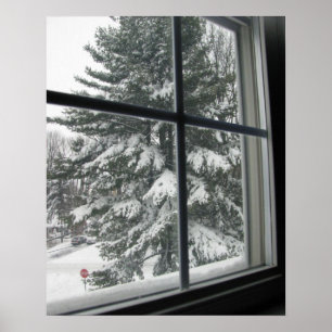 A View from Window of Snow Covered Evergreen Poster