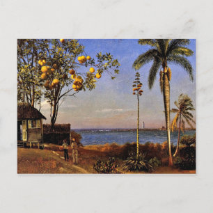 A View in the Bahamas, Albert Bierstadt painting Postcard