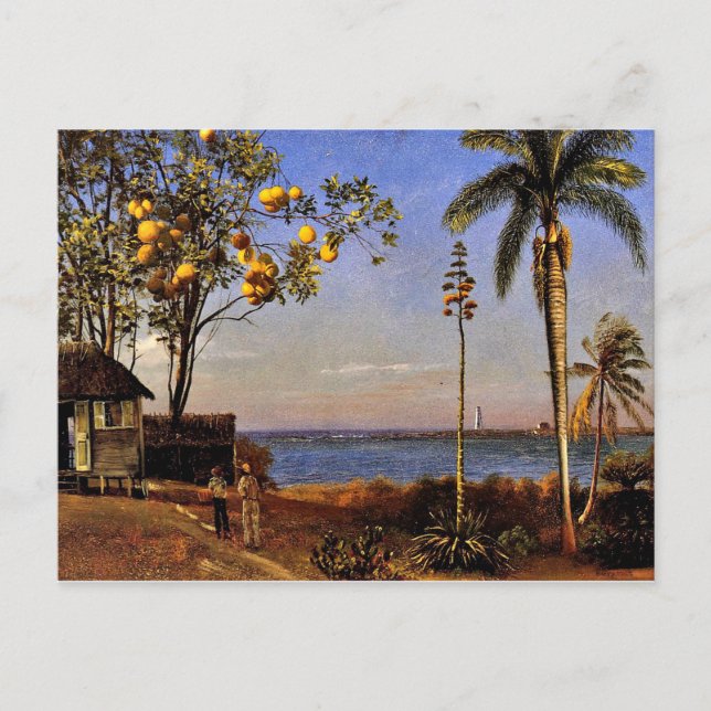 A View in the Bahamas, Albert Bierstadt painting Postcard (Front)