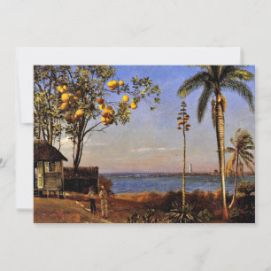 A View in the Bahamas by Albert Bierstadt Card