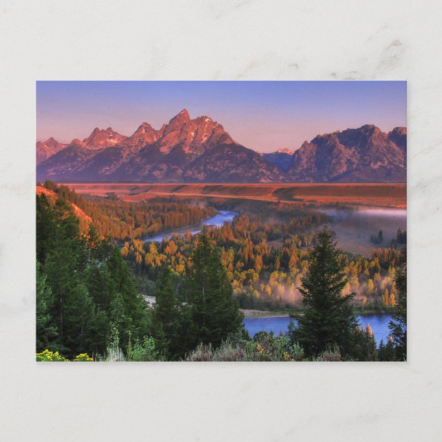 A View in the Morning Postcard (Front)