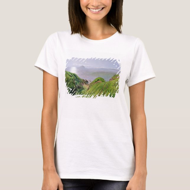 A View of Ailsa Craig and the Isle of Arran, 1860 T-Shirt (Front)