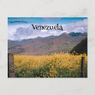 A View of Mérida Venezuela Postcard