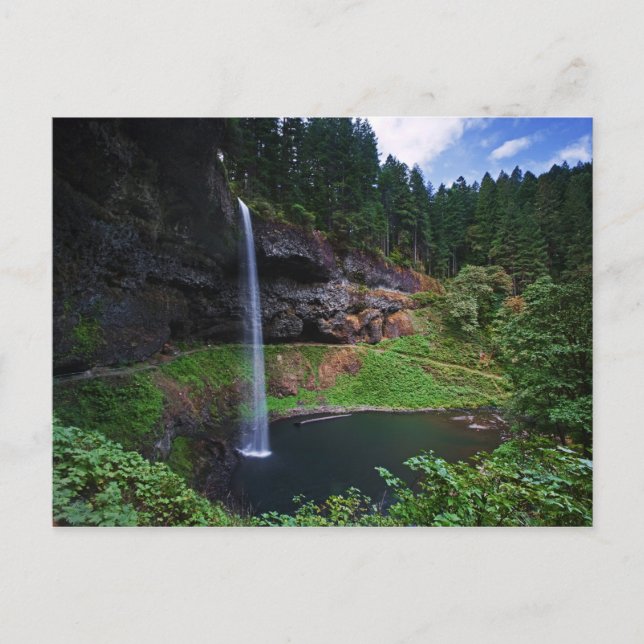 A view of South Falls in Silver Falls State Park Postcard (Front)