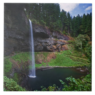 A view of South Falls in Silver Falls State Park Tile