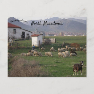 A View of the Countryside in North Macedonia Postcard