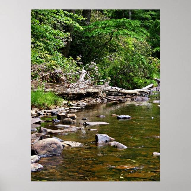 A View of the Greenbrier River Poster (Front)