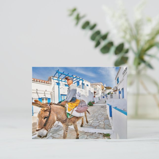 A villager on a donkey in Dryopida, Kythnos Postcard (Standing Front)