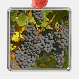 A vine with ripe Merlot grape bunches - Chateau Metal Tree Decoration