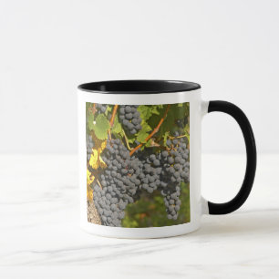 A vine with ripe Merlot grape bunches - Chateau Mug