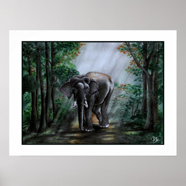 A Voice For The Wilderness Poster (Front)