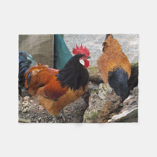 A Vorwerks Chicken pair, Rooster and Hen Eating Fleece Blanket (Front (Horizontal))
