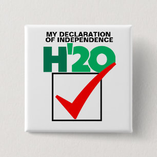 A Vote for Howie Hawkins in 2020 15 Cm Square Badge