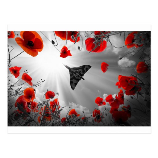 Image of A Vulcan Poppy red Postcard