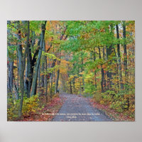 A Walk in Autumn Woods Original Photograph 