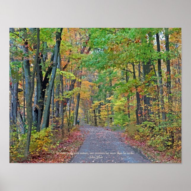 A Walk in Autumn Woods Original Photograph  Poster (Front)