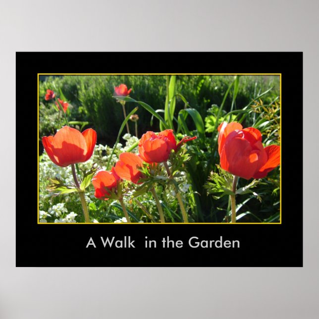 A Walk  in the Garden Poster (Front)