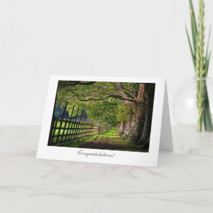 A Walk In The Park - General Congratulations Card