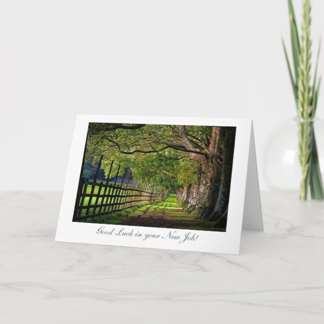 A Walk In The Park - Good Luck with your New Job Card (Front)
