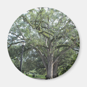 A Walk in the Park Magnet