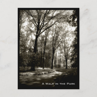 A Walk in the Park Postcard