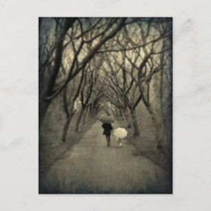 A Walk In The Park Postcard