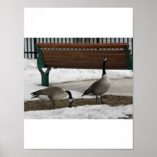 A Walk in the Park Poster