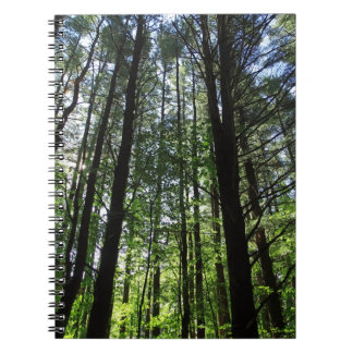 A Walk in the Woods Journal