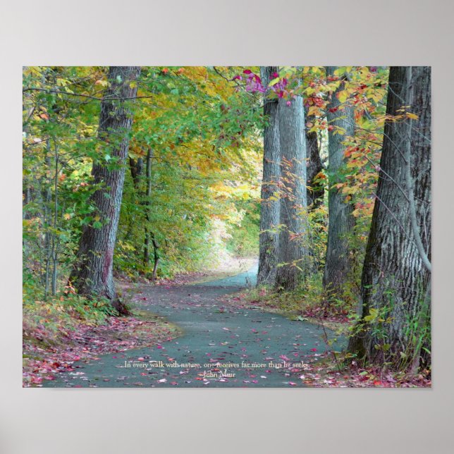 A Walk in the Woods Original Photograph Art Poster (Front)
