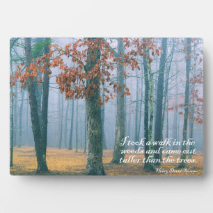 A Walk in the Woods Plaque