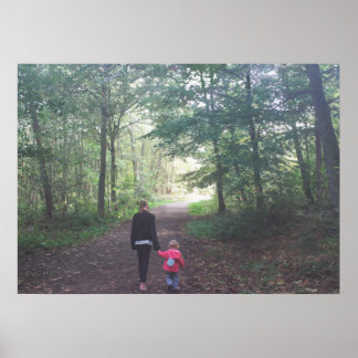 A Walk in the Woods Poster