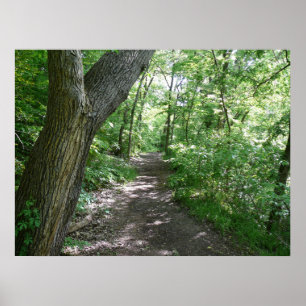 A walk in the woods poster