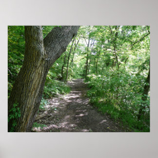 A walk in the woods poster