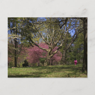 A Walk Postcard