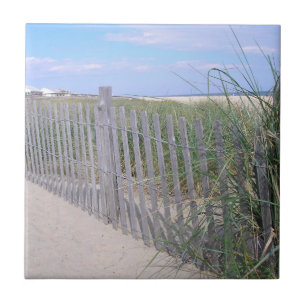 A Walk To The Beach Tile