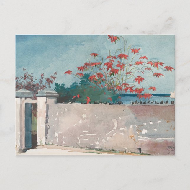 A Wall, Nassau by Winslow Homer Postcard (Front)