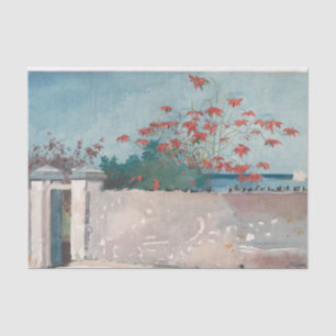 A Wall, Nassau by Winslow Homer Tissue Paper