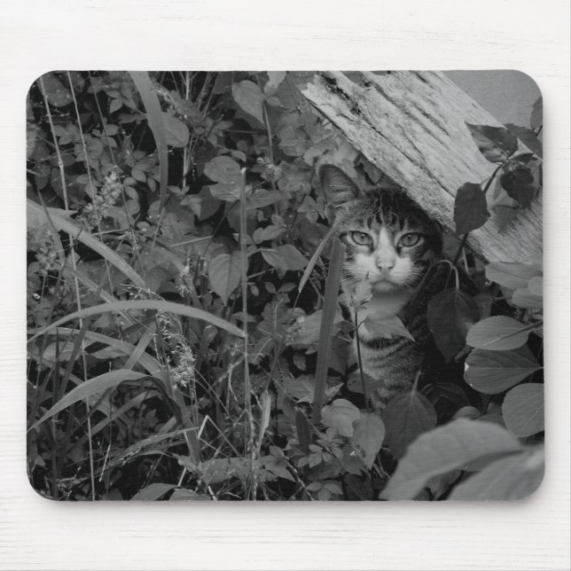 A Wanderer's Dwelling Mouse Mat (Front)