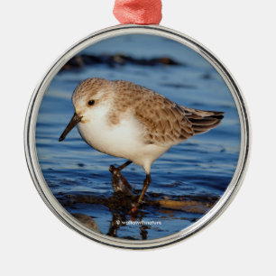 A Wandering Sanderling Metal Tree Decoration