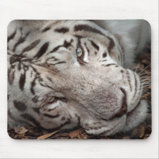 A Watchful Eye Mouse Mat