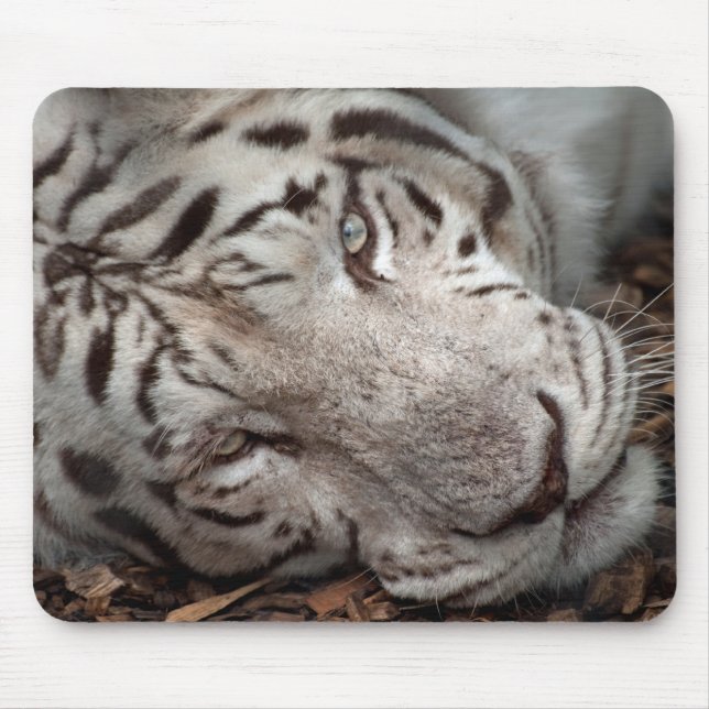 A Watchful Eye Mouse Mat (Front)