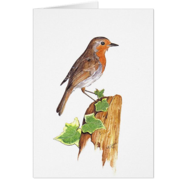 A watchfull Robin, fine art, watercolour (Front)