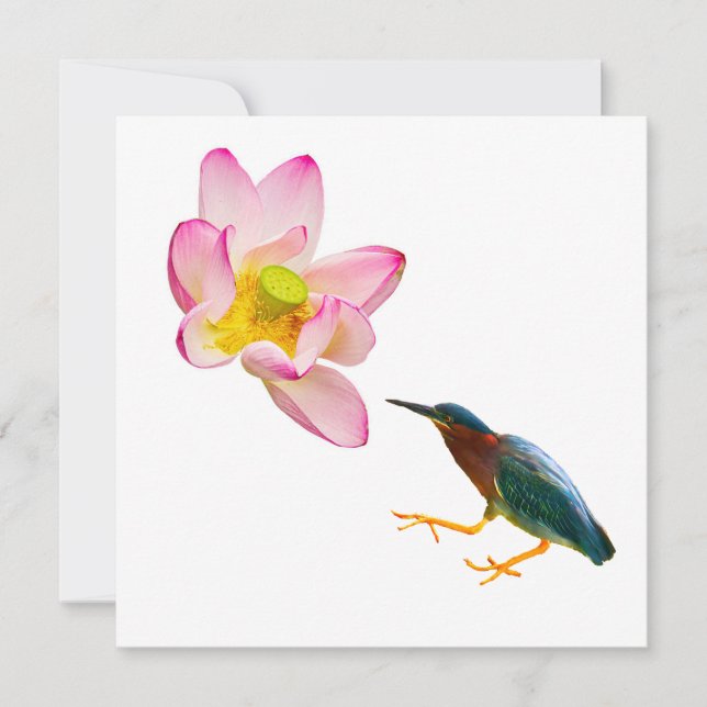 A water lotus and a heron (Front)